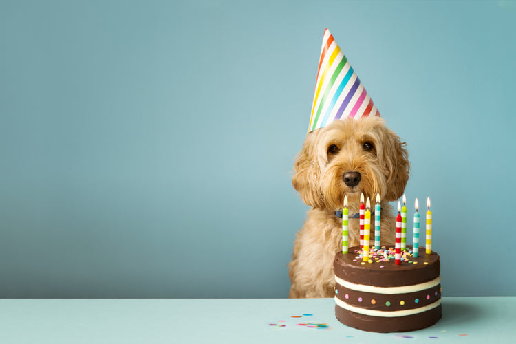 Anniversaire