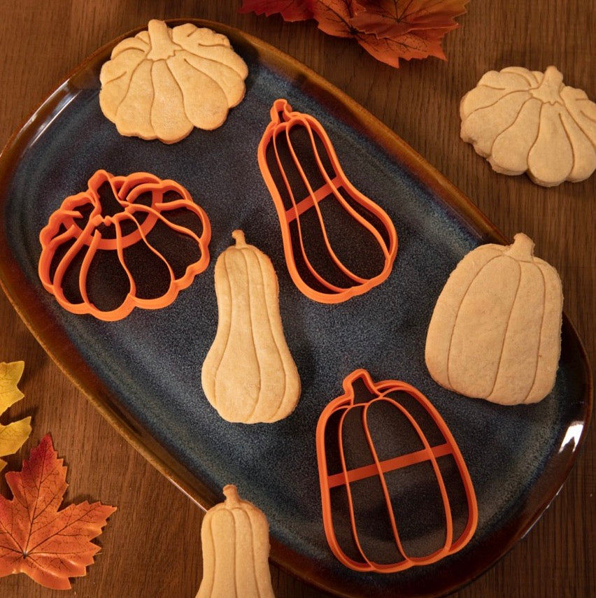 Lot 3 courges (Butternut - Pâtisson - Citrouille allongée) - - emporte-pièces