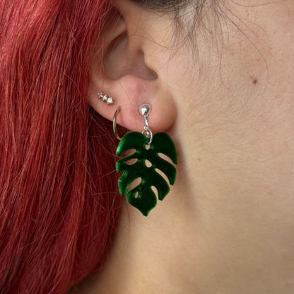 Feuille Monstera - Boucles d'oreilles
